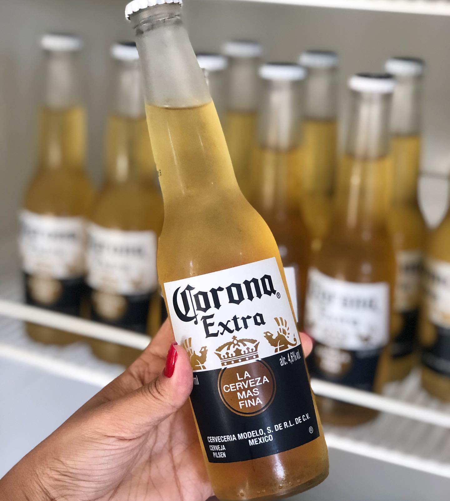 Bebidas